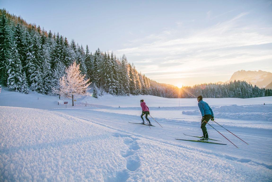 Cross-country skiing